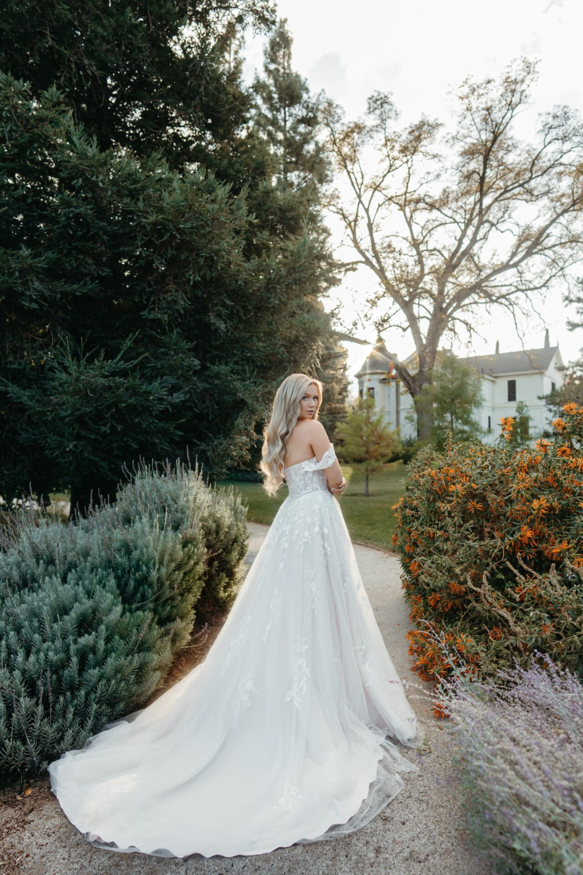 Stella York7849